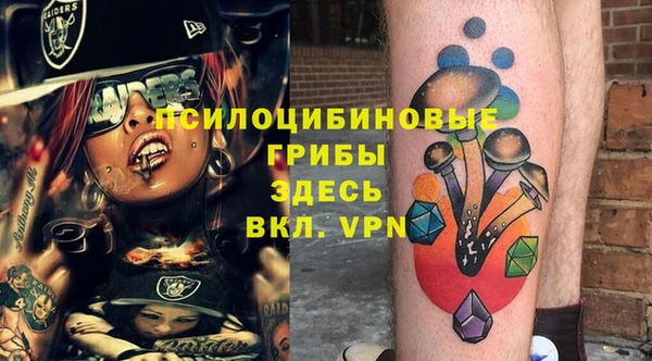 МДПВ Алексеевка