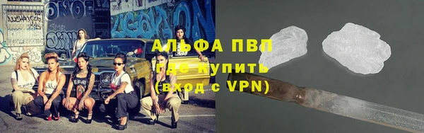 сатива Алексин