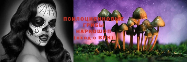 сатива Алексин