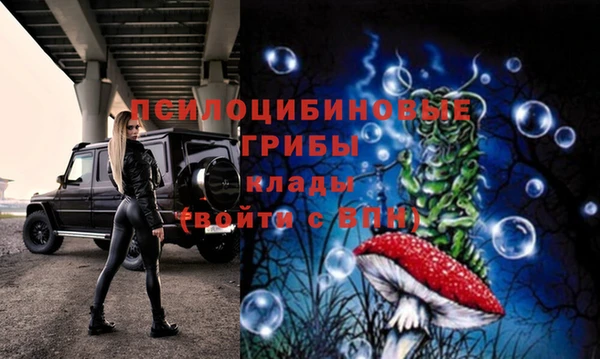 МДПВ Алексеевка