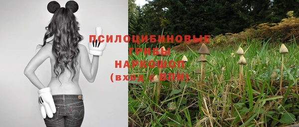 МДПВ Алексеевка