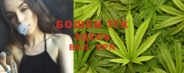 сатива Алексин
