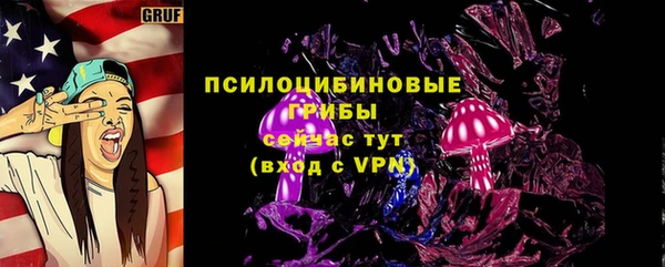 МДПВ Алексеевка