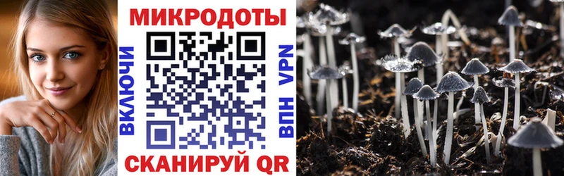 где можно купить   Уссурийск  KRAKEN ONION  Галлюциногенные грибы мицелий 