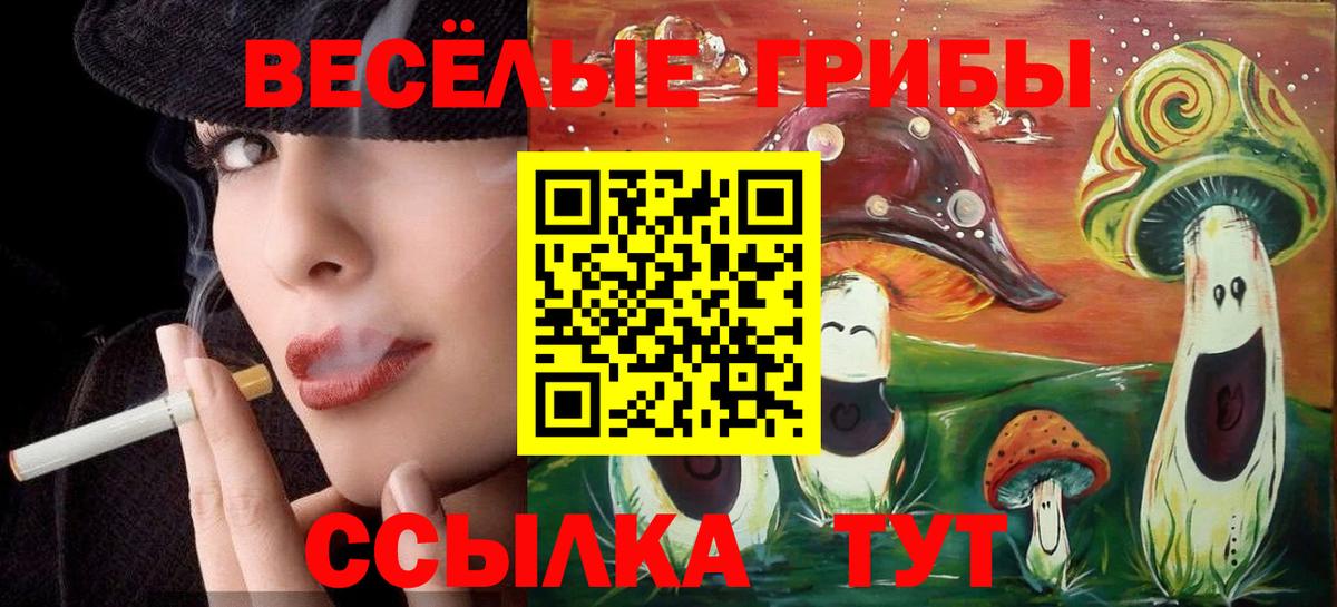 Уссурийск  Галлюциногенные грибы Psilocybe  Вход с VPN 
